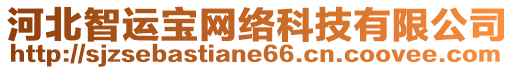 河北智運寶網(wǎng)絡(luò)科技有限公司