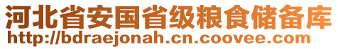 河北省安國省級糧食儲備庫