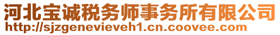 河北寶誠稅務(wù)師事務(wù)所有限公司