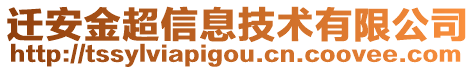 迁安金超信息技术有限公司