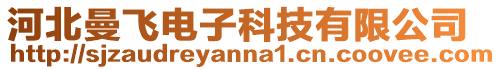 河北曼飛電子科技有限公司