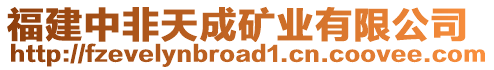 福建中非天成礦業(yè)有限公司