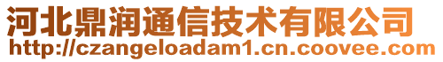 河北鼎润通信技术有限公司