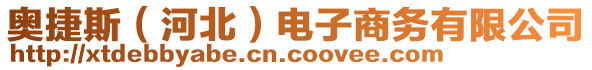 奧捷斯（河北）電子商務(wù)有限公司