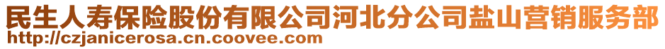 民生人壽保險股份有限公司河北分公司鹽山營銷服務(wù)部