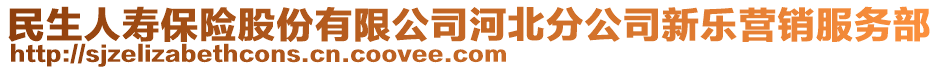 民生人寿保险股份有限公司河北分公司新乐营销服务部