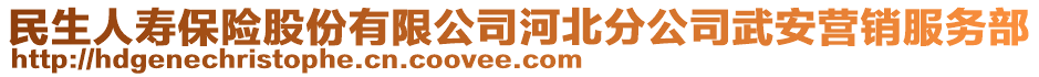 民生人寿保险股份有限公司河北分公司武安营销服务部