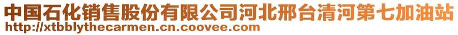 中國(guó)石化銷售股份有限公司河北邢臺(tái)清河第七加油站