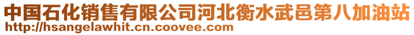 中國石化銷售有限公司河北衡水武邑第八加油站