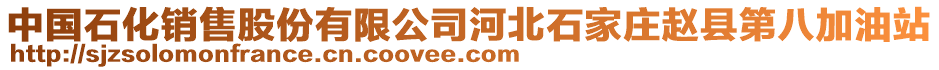 中國(guó)石化銷售股份有限公司河北石家莊趙縣第八加油站