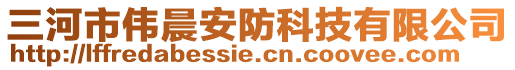 三河市偉晨安防科技有限公司