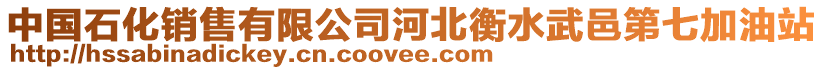 中國石化銷售有限公司河北衡水武邑第七加油站