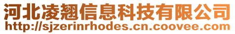 河北凌翹信息科技有限公司