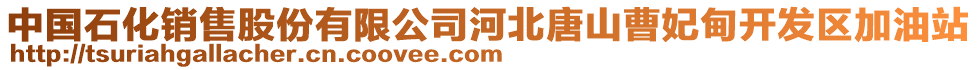 中國(guó)石化銷售股份有限公司河北唐山曹妃甸開發(fā)區(qū)加油站