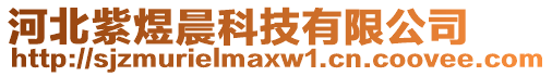 河北紫煜晨科技有限公司