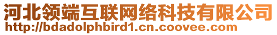 河北領(lǐng)端互聯(lián)網(wǎng)絡(luò)科技有限公司