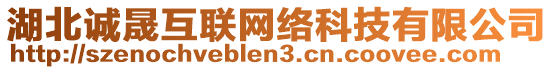 湖北誠晟互聯(lián)網(wǎng)絡(luò)科技有限公司