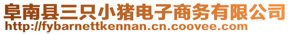 阜南縣三只小豬電子商務有限公司