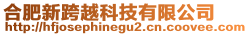 合肥新跨越科技有限公司