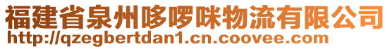 福建省泉州哆啰咪物流有限公司