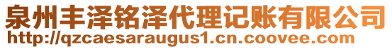泉州豐澤銘澤代理記賬有限公司