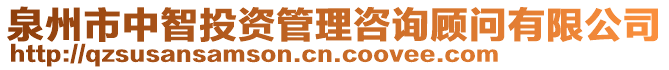 泉州市中智投資管理咨詢顧問有限公司