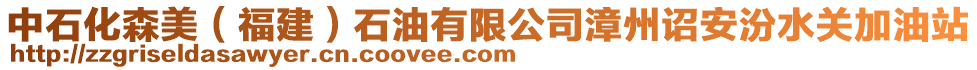 中石化森美(福建)石油有限公司漳州詔安汾水關加油站