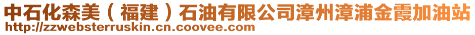 中石化森美（福建）石油有限公司漳州漳浦金霞加油站