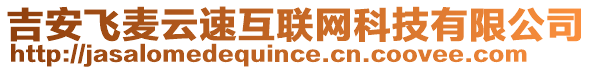 吉安飛麥云速互聯(lián)網(wǎng)科技有限公司