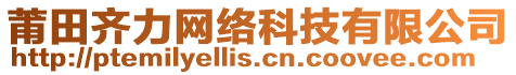 莆田齊力網絡科技有限公司