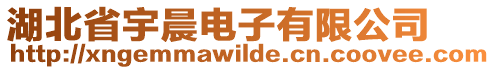 湖北省宇晨電子有限公司