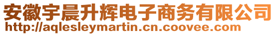 安徽宇晨升輝電子商務(wù)有限公司