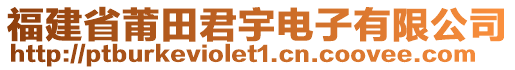 福建省莆田君宇電子有限公司