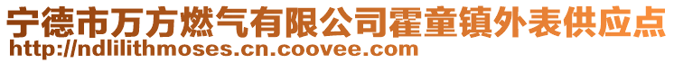 寧德市萬(wàn)方燃?xì)庥邢薰净敉?zhèn)外表供應(yīng)點(diǎn)