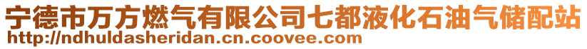 寧德市萬方燃?xì)庥邢薰酒叨家夯蜌鈨ε湔? style=