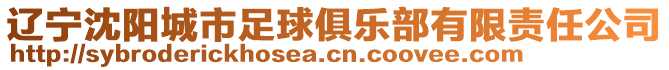 遼寧沈陽城市足球俱樂部有限責(zé)任公司