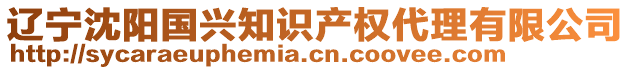 遼寧沈陽(yáng)國(guó)興知識(shí)產(chǎn)權(quán)代理有限公司