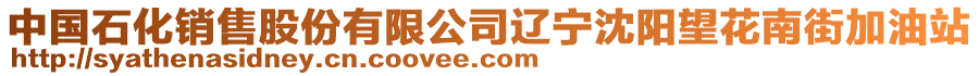 中國(guó)石化銷(xiāo)售股份有限公司遼寧沈陽(yáng)望花南街加油站