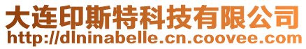 大連印斯特科技有限公司