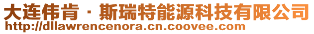 大連偉肯·斯瑞特能源科技有限公司