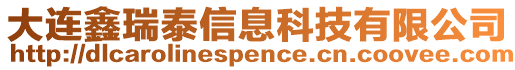 大連鑫瑞泰信息科技有限公司