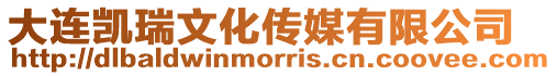 大連凱瑞文化傳媒有限公司
