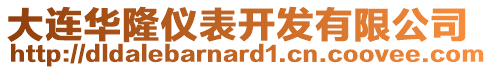 大連華隆儀表開發有限公司