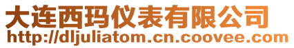 大連西瑪儀表有限公司