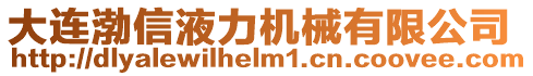 大連渤信液力機械有限公司