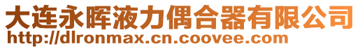 大連永暉液力偶合器有限公司