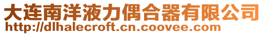 大連南洋液力偶合器有限公司