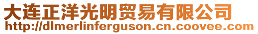 大連正洋光明貿易有限公司