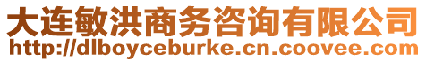 大連敏洪商務咨詢有限公司