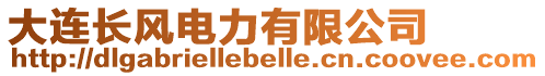 大連長風(fēng)電力有限公司